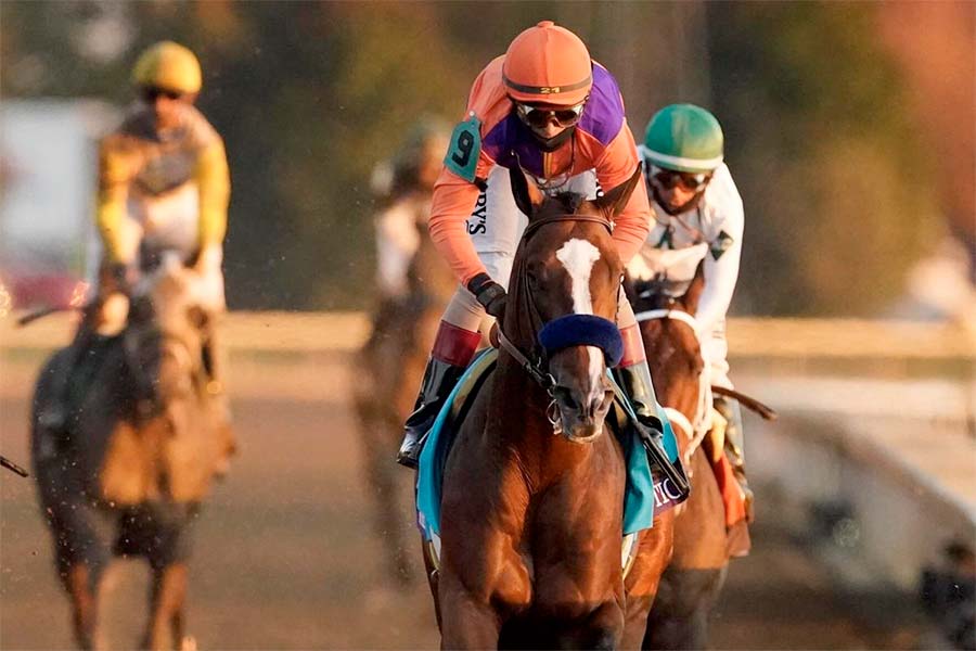 Authentic Wins The Breeders' Cup Classic!