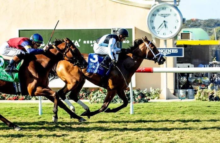 Image showing Velocity Wins Del Mar Oaks.