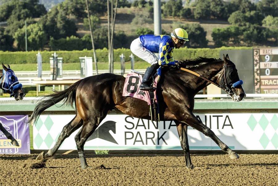 Imagination wins Santa Anita Sprint.
