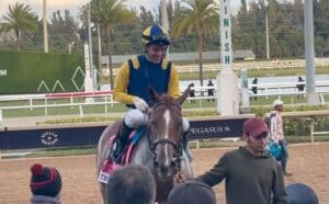 Sister Troienne Wins The Sweetest Chant Stakes.